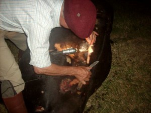 SANYO DIGITAL CAMERA