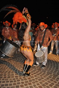 carnaval 8