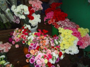flores 4